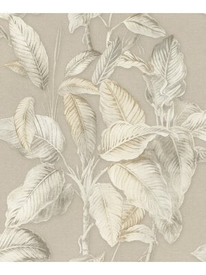 Rasch Back to Nature - 571455