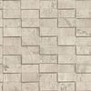 Rasch Factory VI - 497151