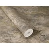 Rasch Factory VI - 497250