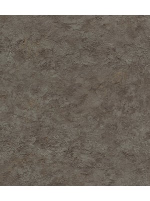 Rasch Factory VI - 497564