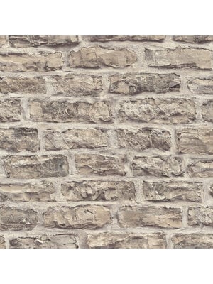 Rasch Factory VI - 498325