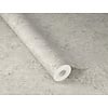 Rasch Factory VI - 498455