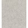 Rasch Factory VI - 498455
