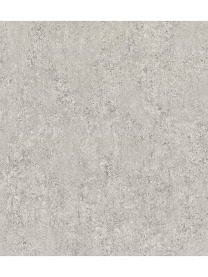 Rasch Factory VI - 498455