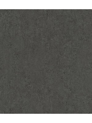 Rasch Factory VI - 498462