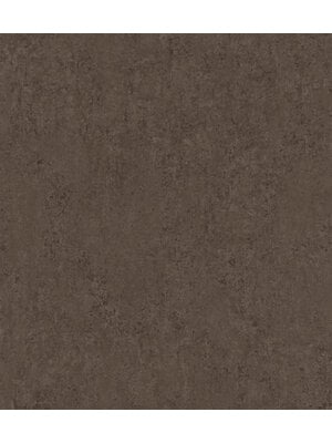 Rasch Factory VI - 498479
