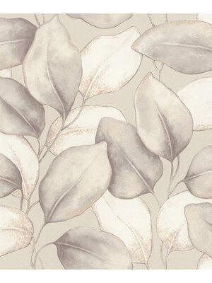 Rasch Incanto - 659856