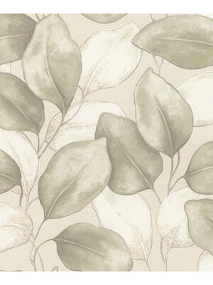 Rasch Incanto - 659870