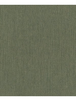 Rasch Noble Zen - 435573
