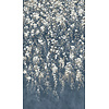 Rasch Noble Zen - 368062 Rasch Noble Zen - 368062