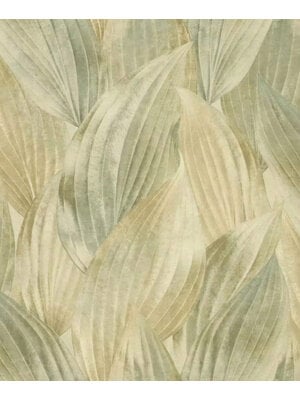 Rasch Back to Nature - 571547