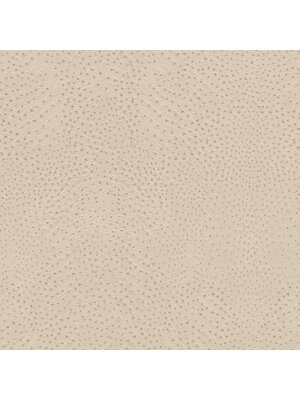Rasch African Queen 3 - 751512