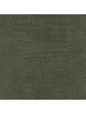 Rasch African Queen 3 - 751352