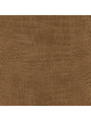 Rasch African Queen 3 - 751314