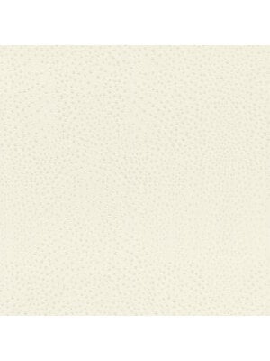 Rasch African Queen 3 - 751536