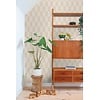 Esta Home Color Pop - 163-139985 Esta Home Color Pop - 163-139985