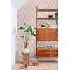 Esta Home Color Pop - 163-139986 Esta Home Color Pop - 163-139986