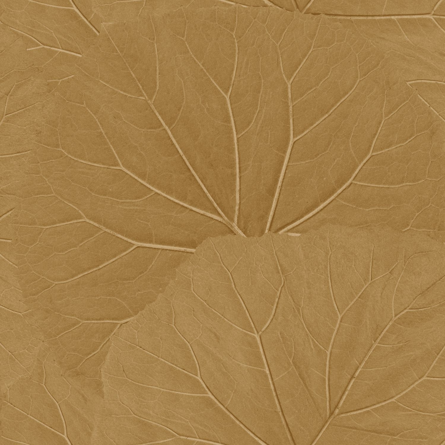 Esta Home Floral Fever - 139914