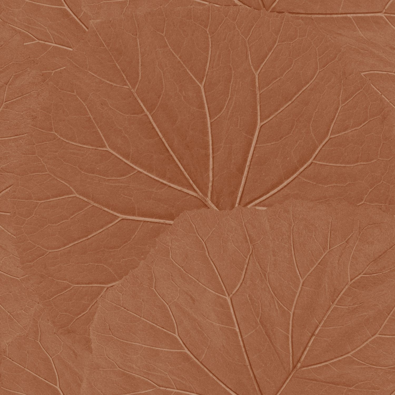 Esta Home Floral Fever - 139915