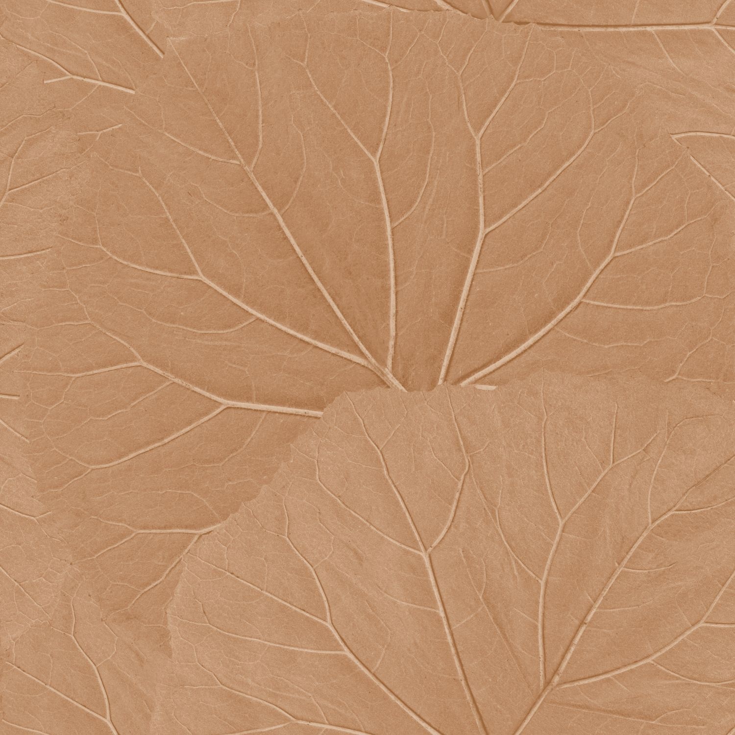 Esta Home Floral Fever - 139916
