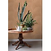Esta Home Floral Fever - 139916 Esta Home Floral Fever - 139916