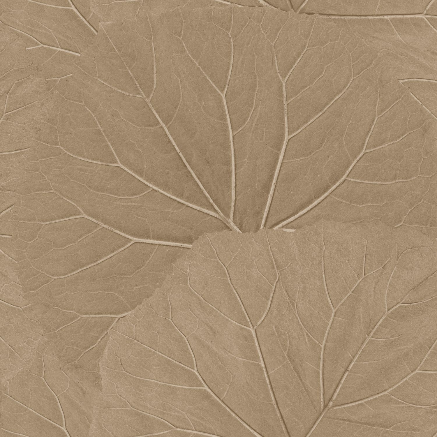 Esta Home Floral Fever - 139917
