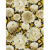Harlequin Colour 2 - 112846 Harlequin Colour 2 - 112846