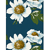 Harlequin Colour 2 - 112842 Harlequin Colour 2 - 112842