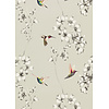 Harlequin Colour 2 - 111062 Harlequin Colour 2 - 111062