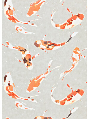 Harlequin Colour 4 - 110903