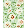 Harlequin Colour 4 - 113015 Harlequin Colour 4 - 113015