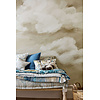 Harlequin Colour 4 - 113002 Harlequin Colour 4 - 113002