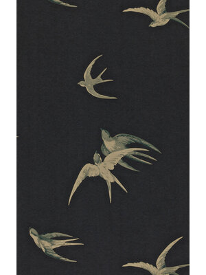 Sanderson One Sixty - DVIWSW105