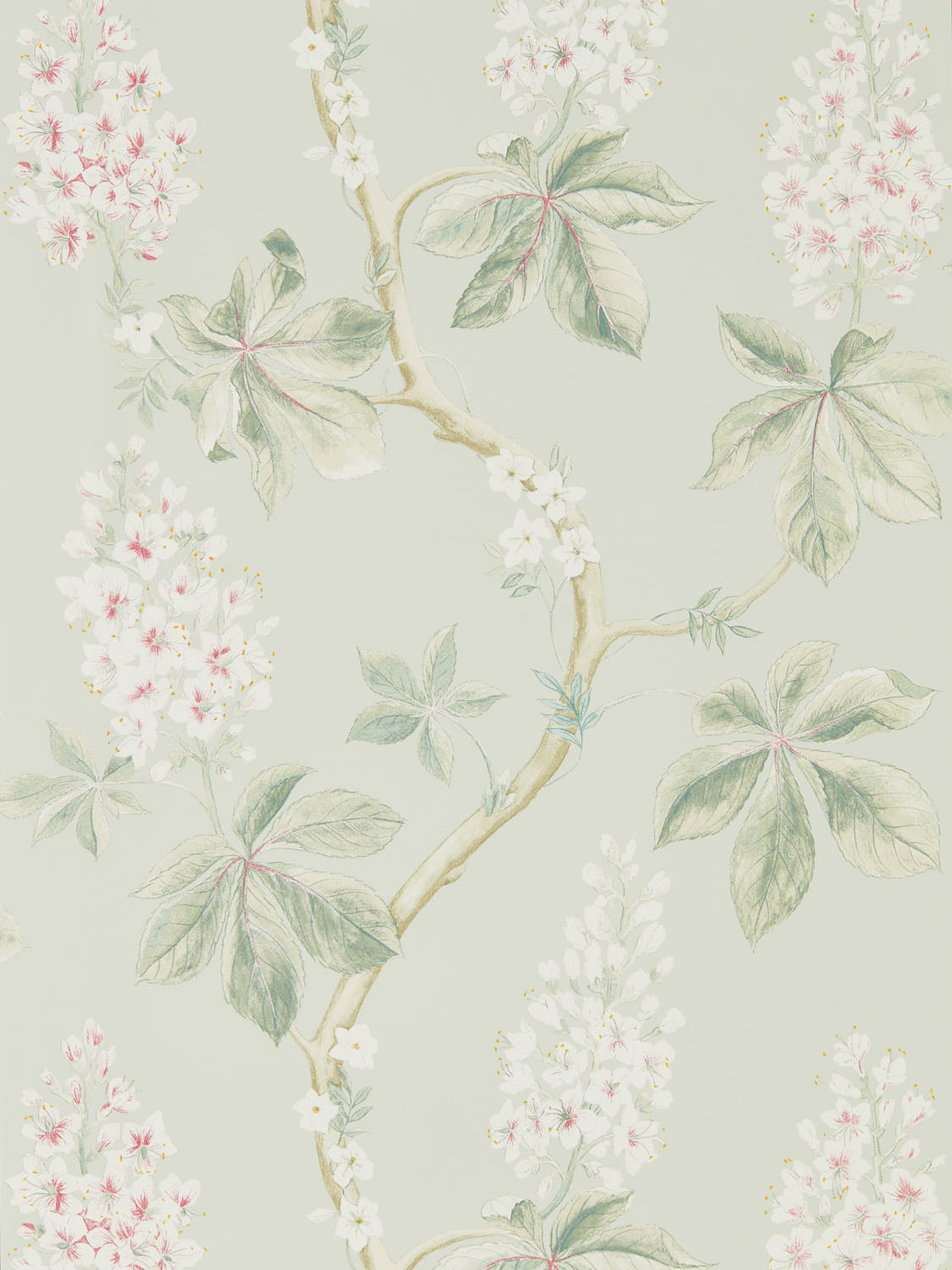 Sanderson Country Woodland - 215710