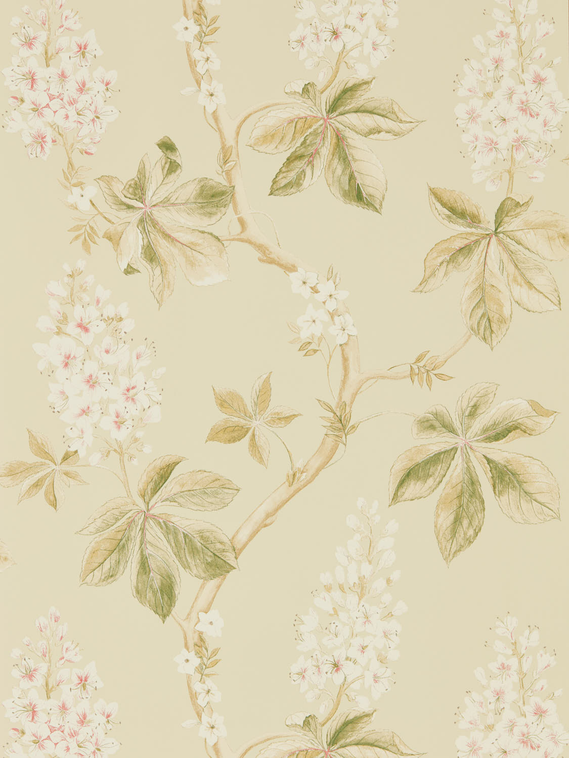Sanderson Country Woodland - 215709