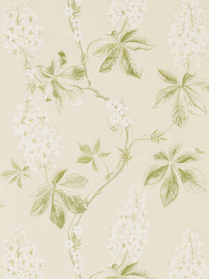 Sanderson Country Woodland - 215707