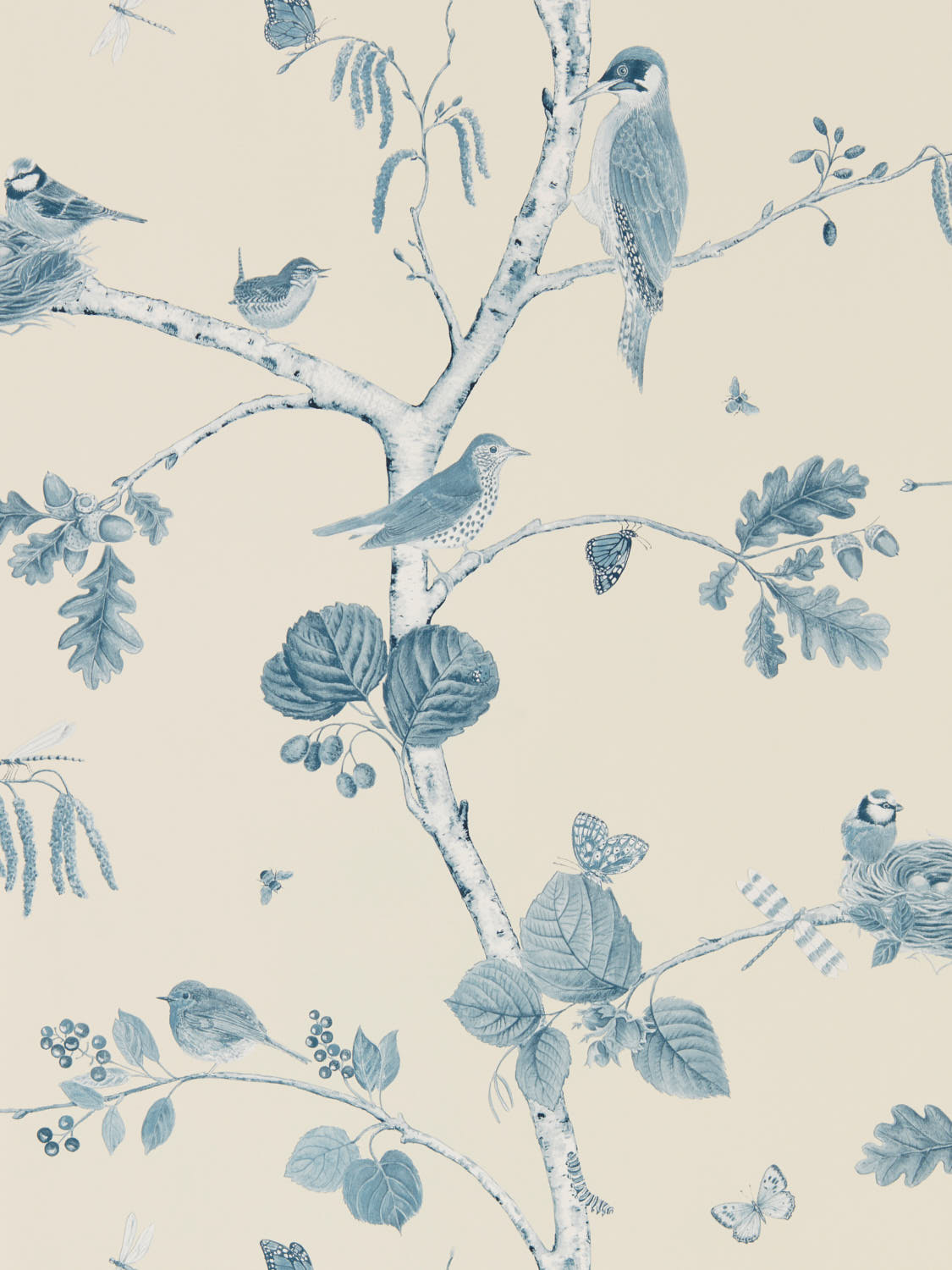 Sanderson Country Woodland - 215705