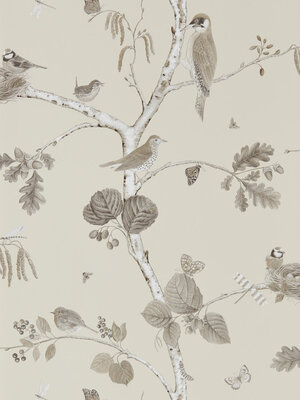 Sanderson Country Woodland - 215704