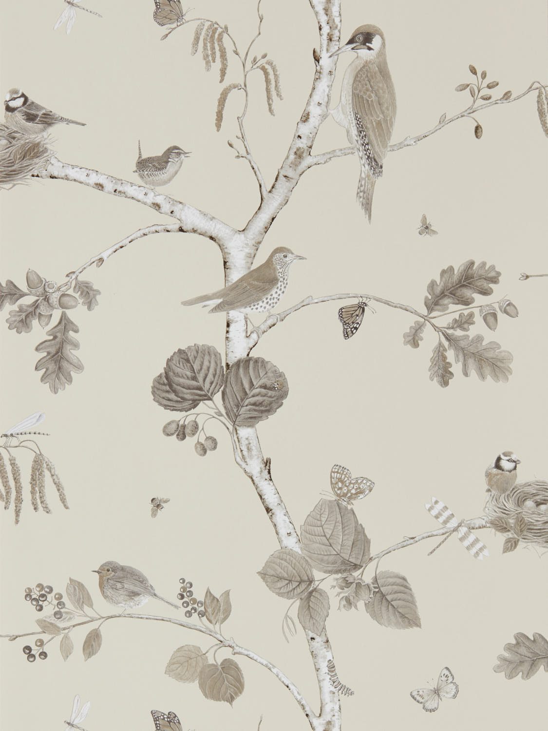 Sanderson Country Woodland - 215704