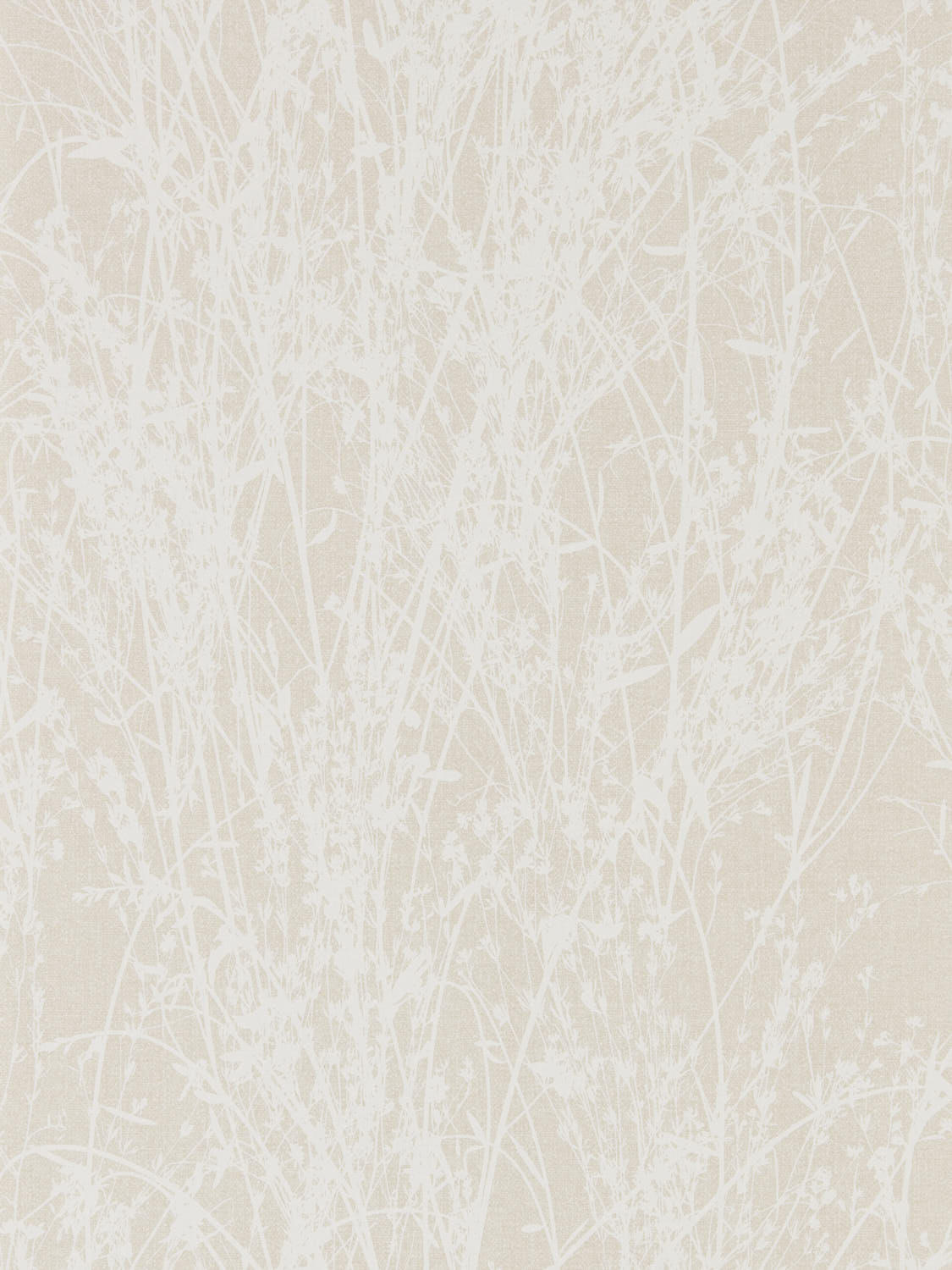 Sanderson Country Woodland - 215695