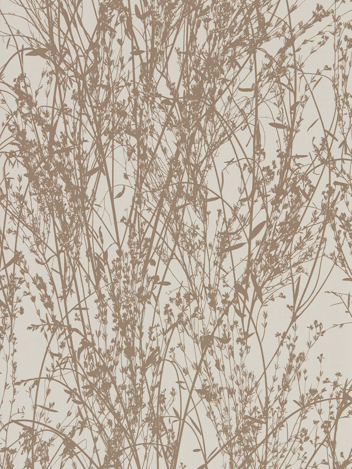 Sanderson Country Woodland - 215693