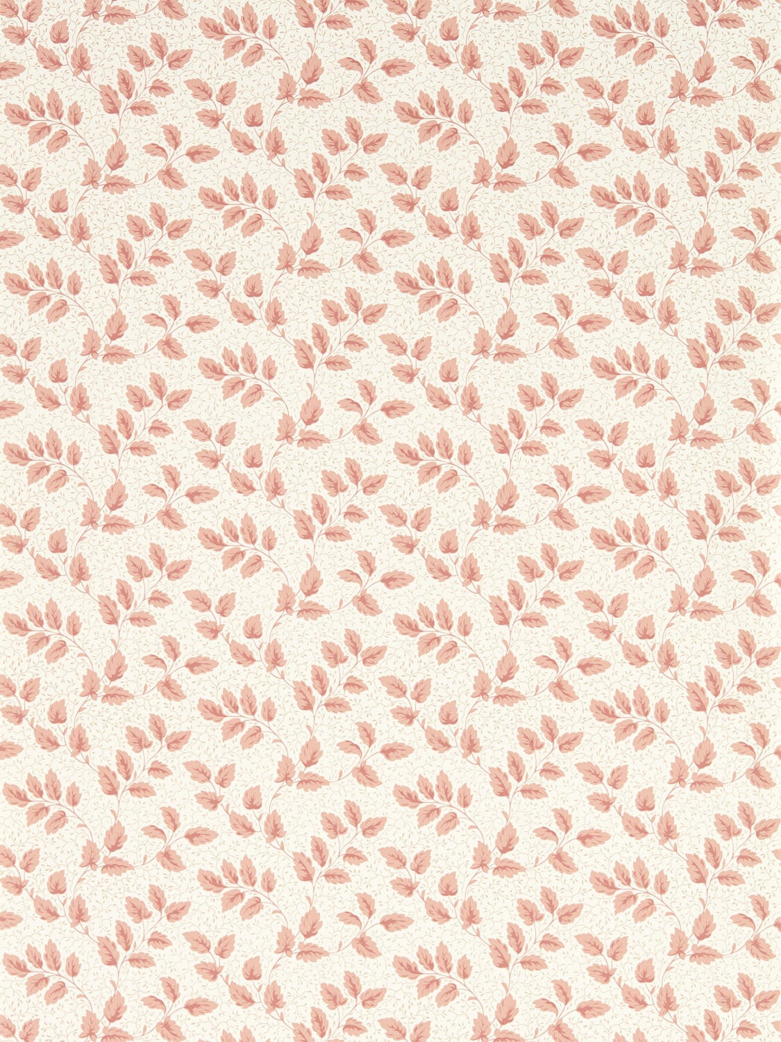 Sanderson Country Woodland - 217420