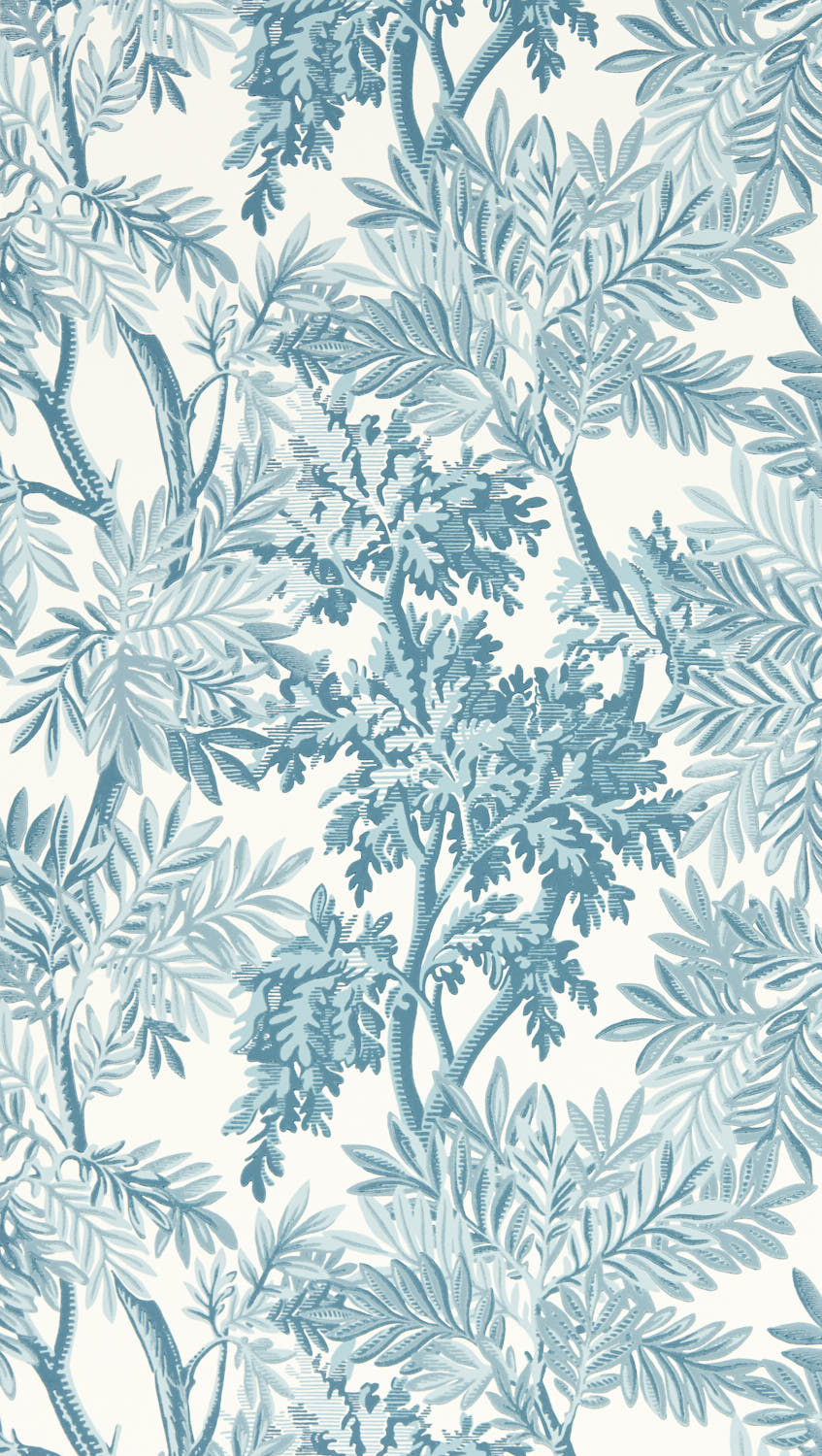 Sanderson Country Woodland - 217417