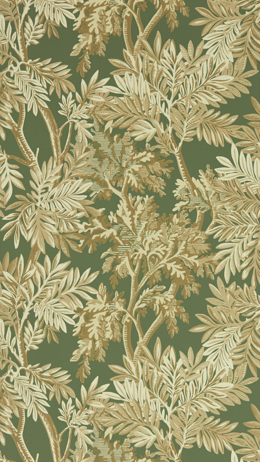 Sanderson Country Woodland - 217418