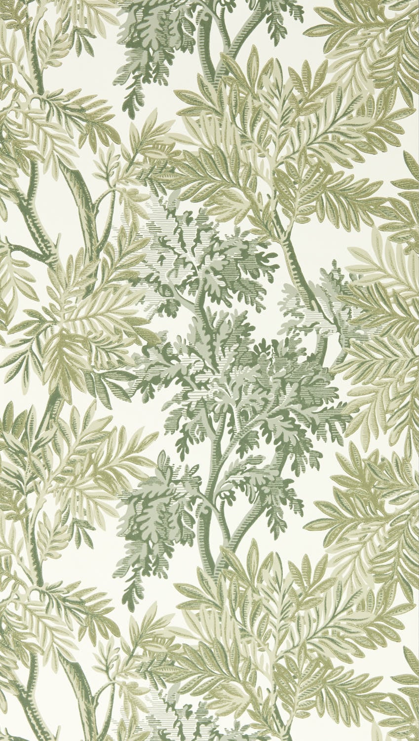 Sanderson Country Woodland - 217416