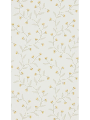 Sanderson Country Woodland - 216375