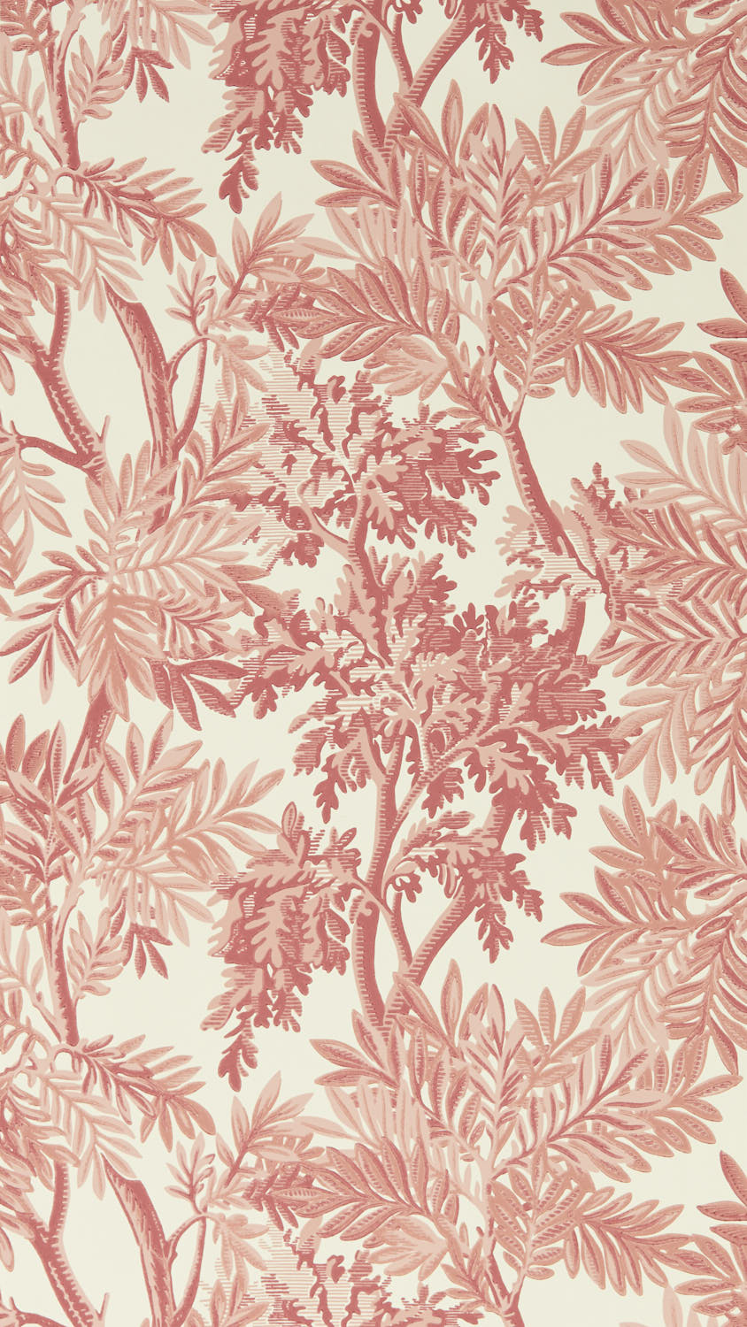 Sanderson Country Woodland - 217415