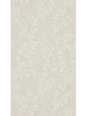 Sanderson Country Woodland - 216374