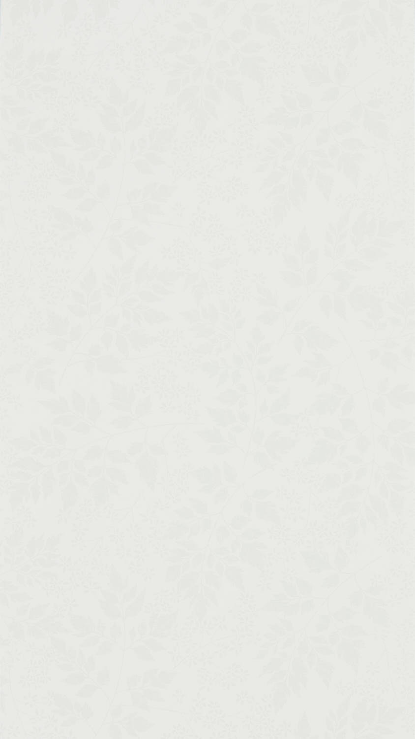 Sanderson Country Woodland - 216373