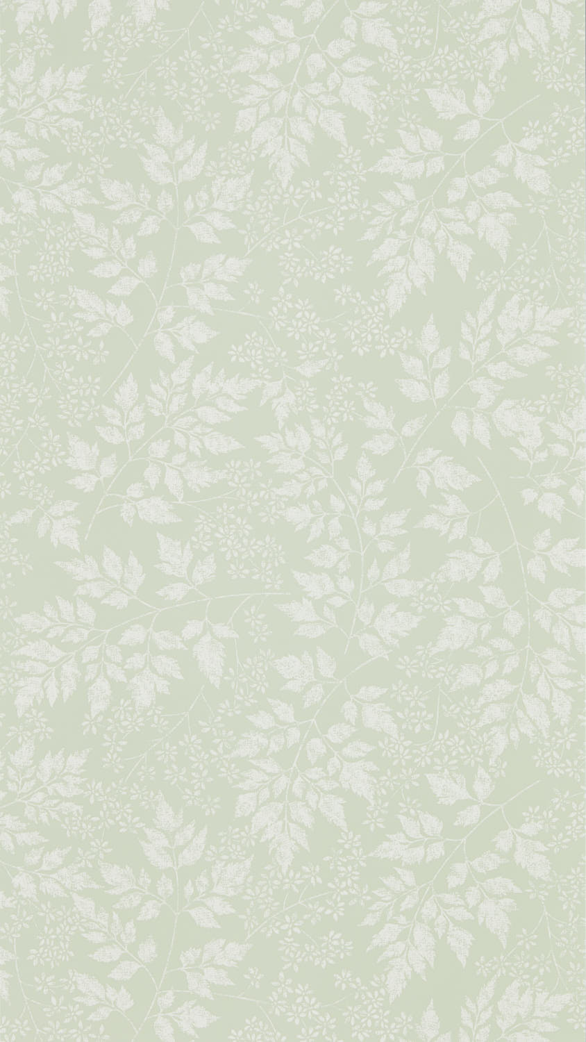 Sanderson Country Woodland - 216372